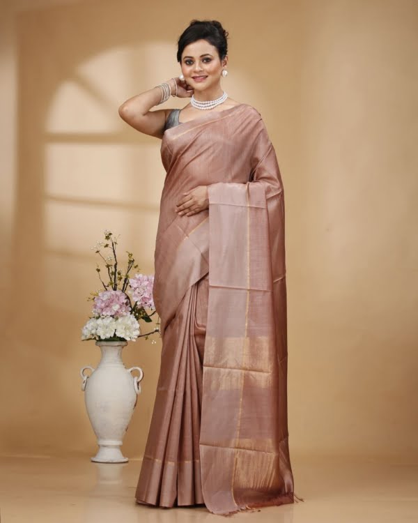 Self Check On Light Brown Base with Zari Border Saree